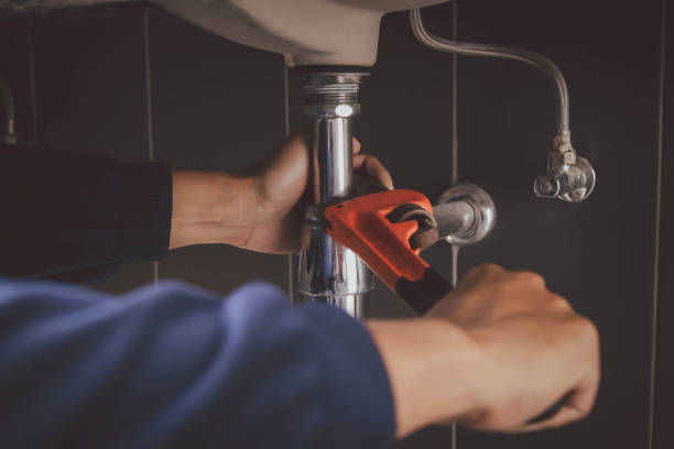 Best Sprinkler Systems  in Mosinee, WI